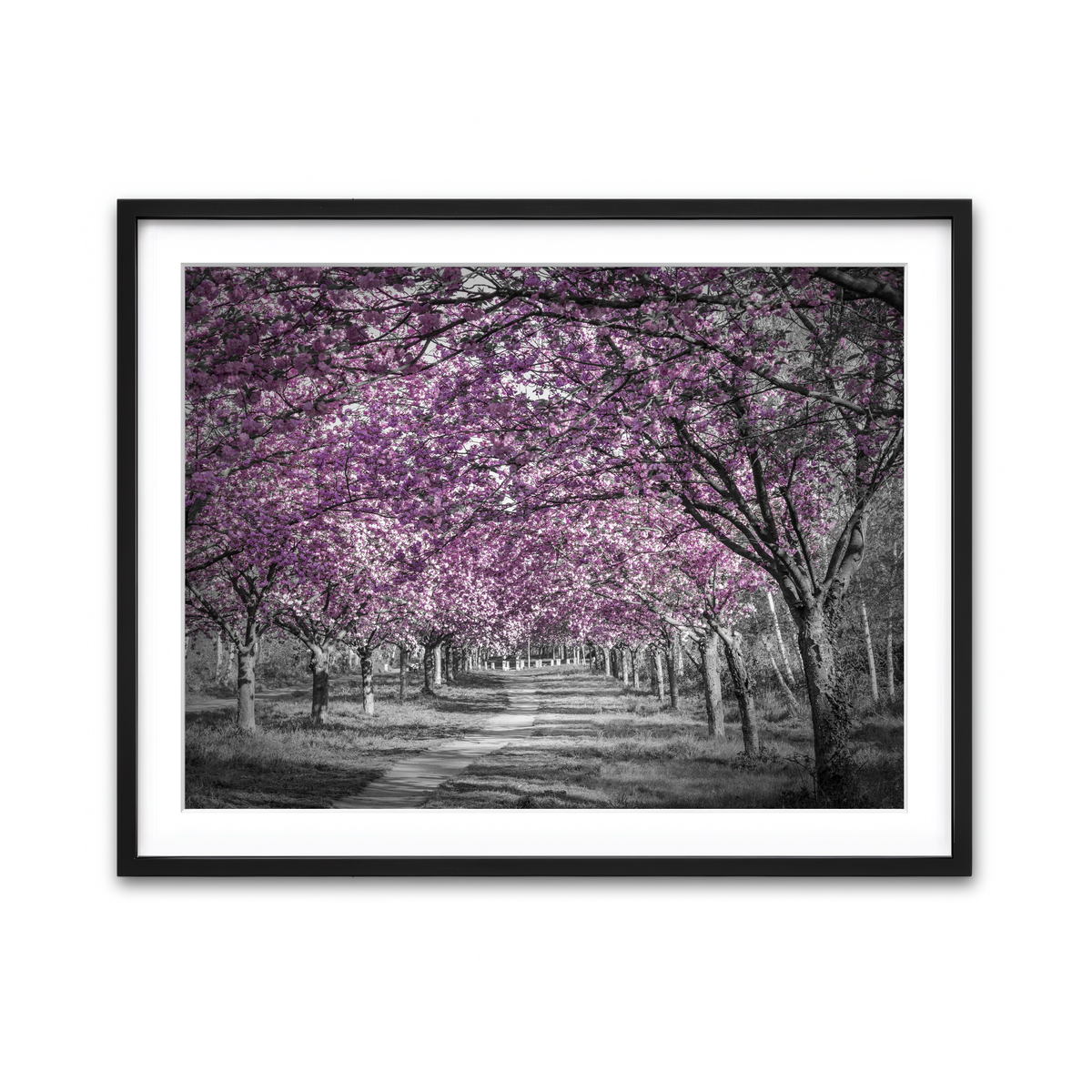 Framed Print 4x3 Black