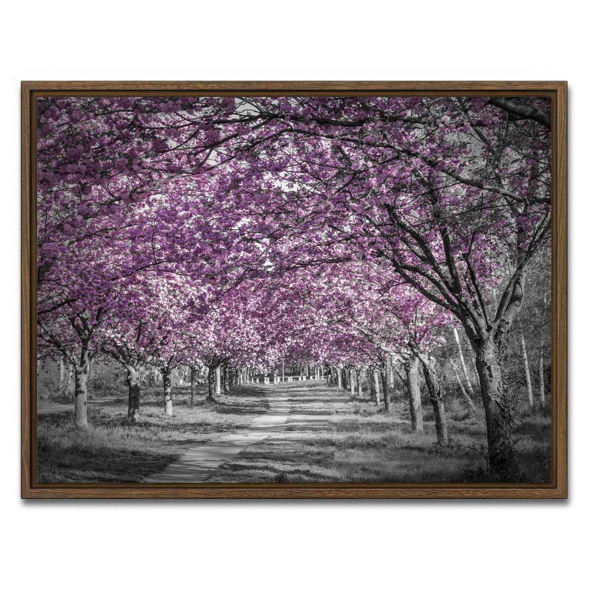 AUTO-MOCKUP WHITE | Beautiful cherry blossom alley in pink | 1 Piece | Walnut Framed Canvas | group=4x3
