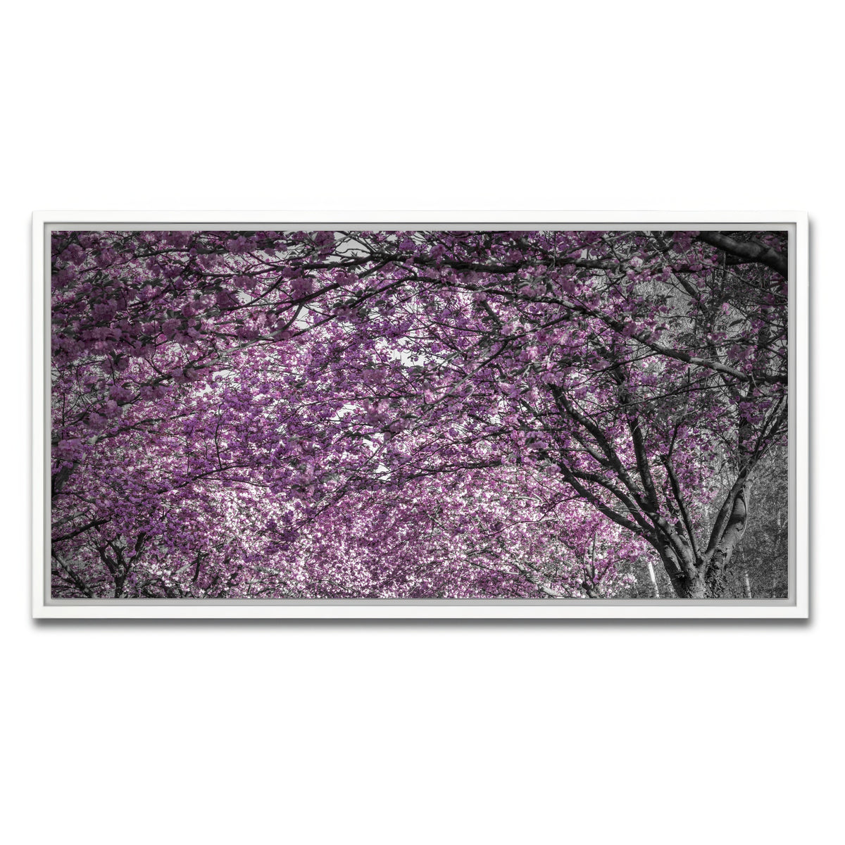 AUTO-MOCKUP WHITE | Beautiful cherry blossom alley in pink | 1 Piece | White Framed Canvas | group=2x1