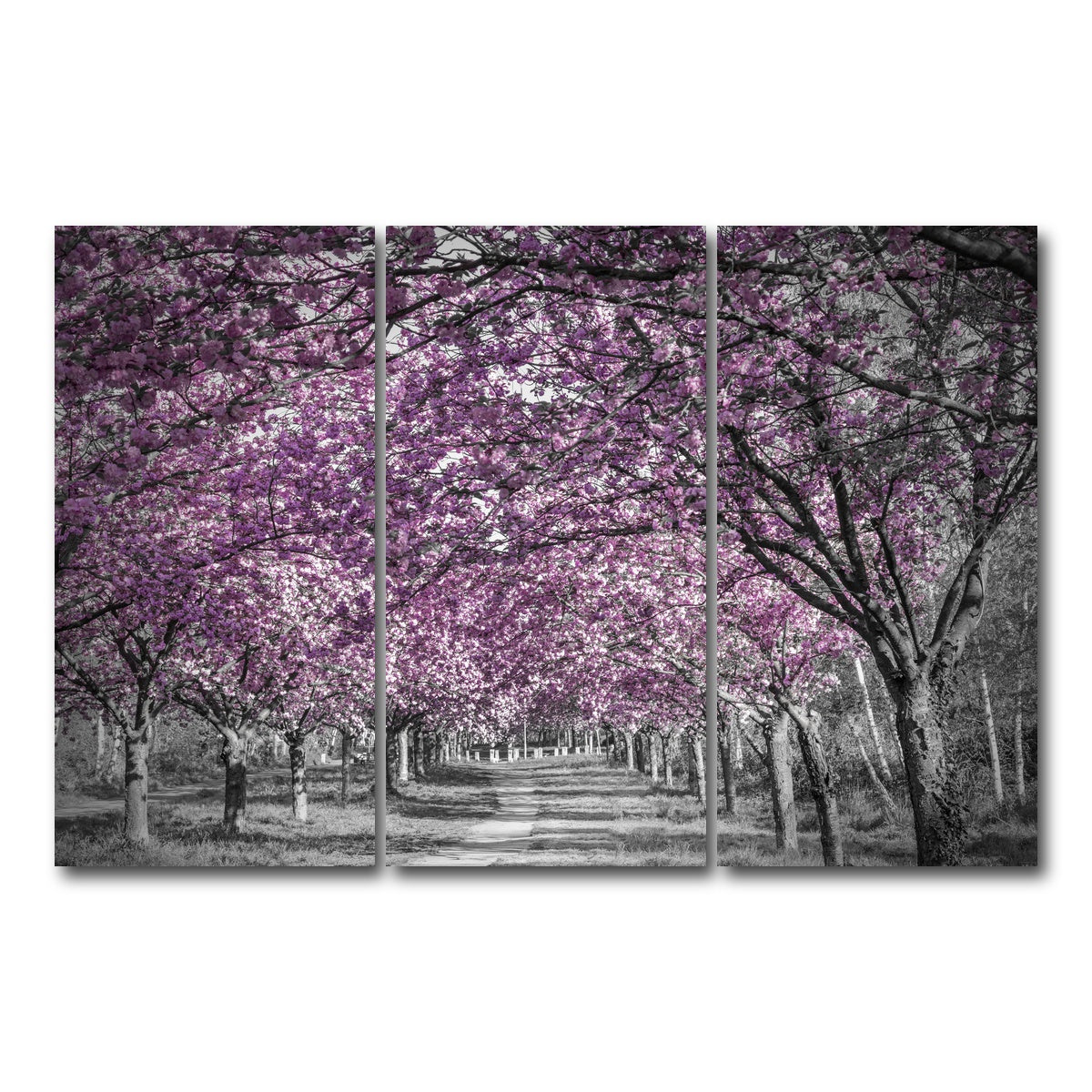 AUTO-MOCKUP WHITE | Beautiful cherry blossom alley in pink | 3 Piece | Gallery Wrap Canvas | group=12x24