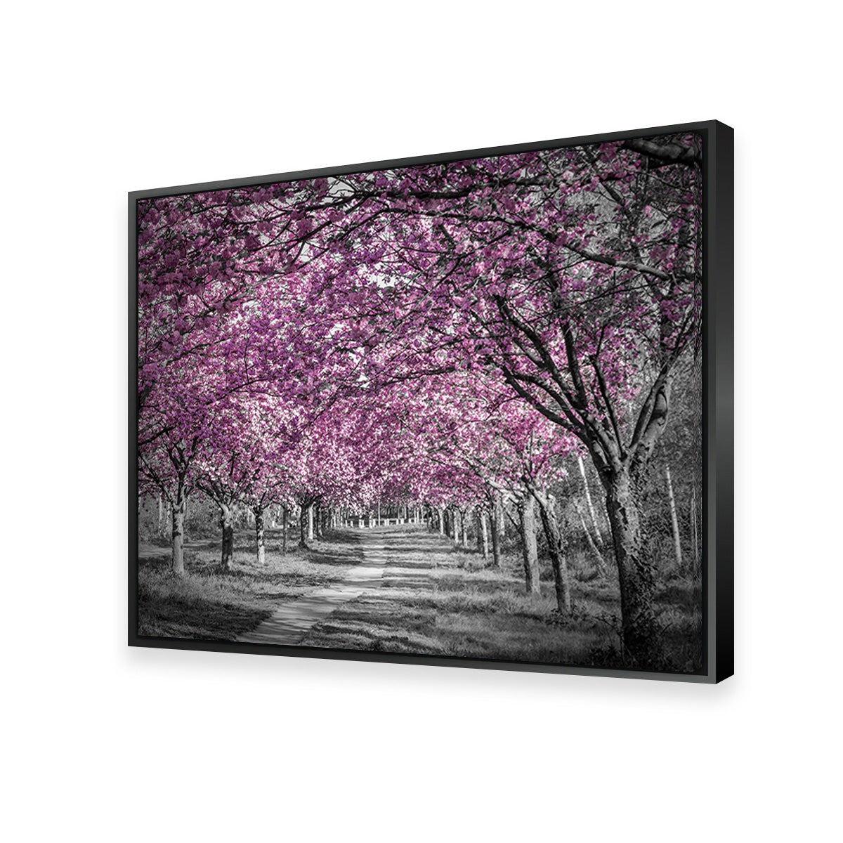 Beautiful Cherry Blossom Alley in Pink Wall Art