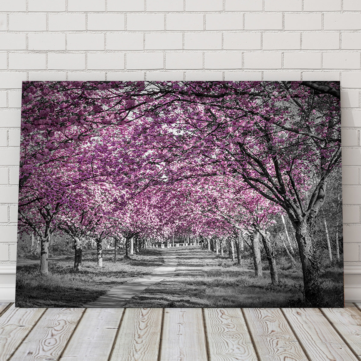 Beautiful Cherry Blossom Alley in Pink Wall Art