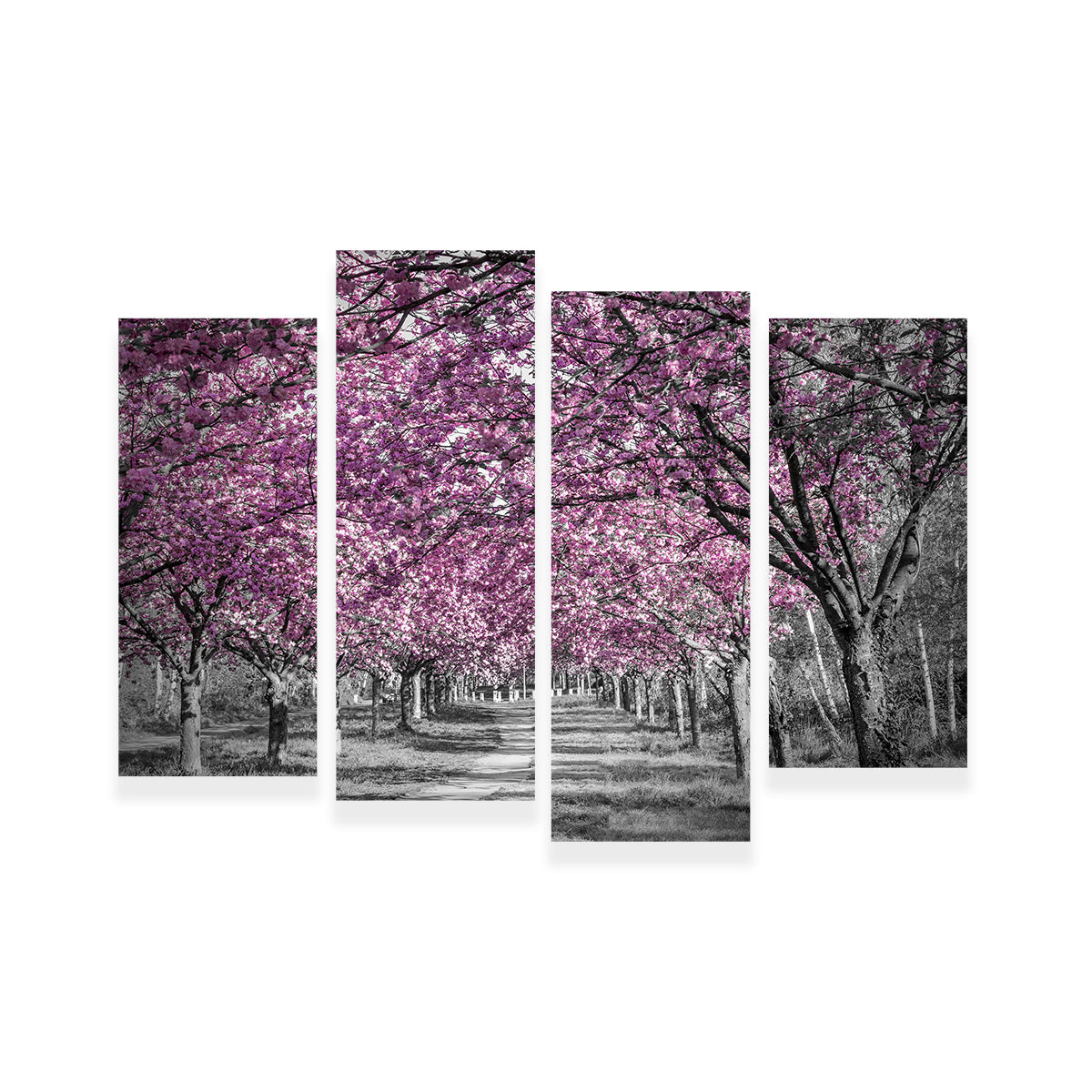 Beautiful Cherry Blossom Alley in Pink Wall Art