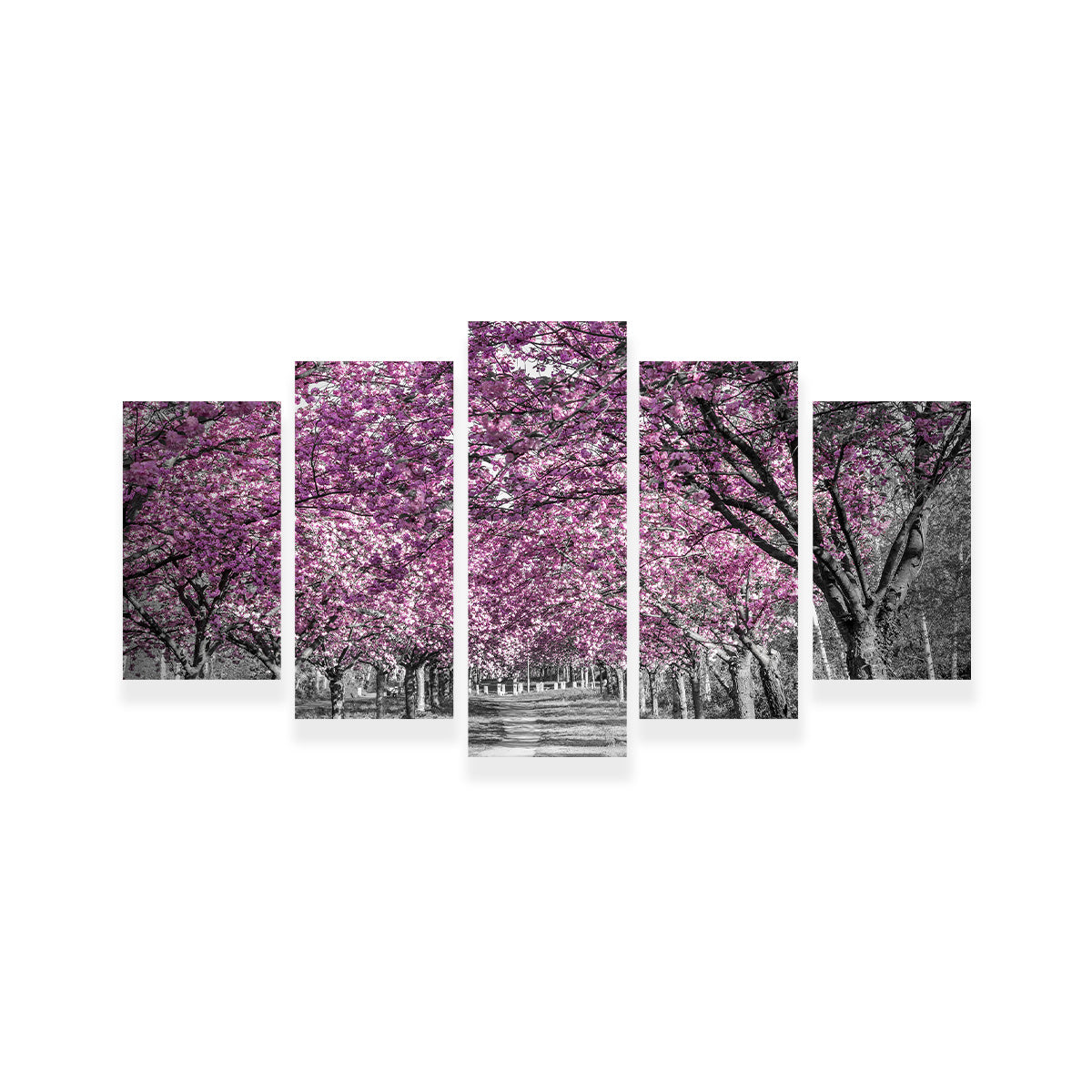 Beautiful Cherry Blossom Alley in Pink Wall Art