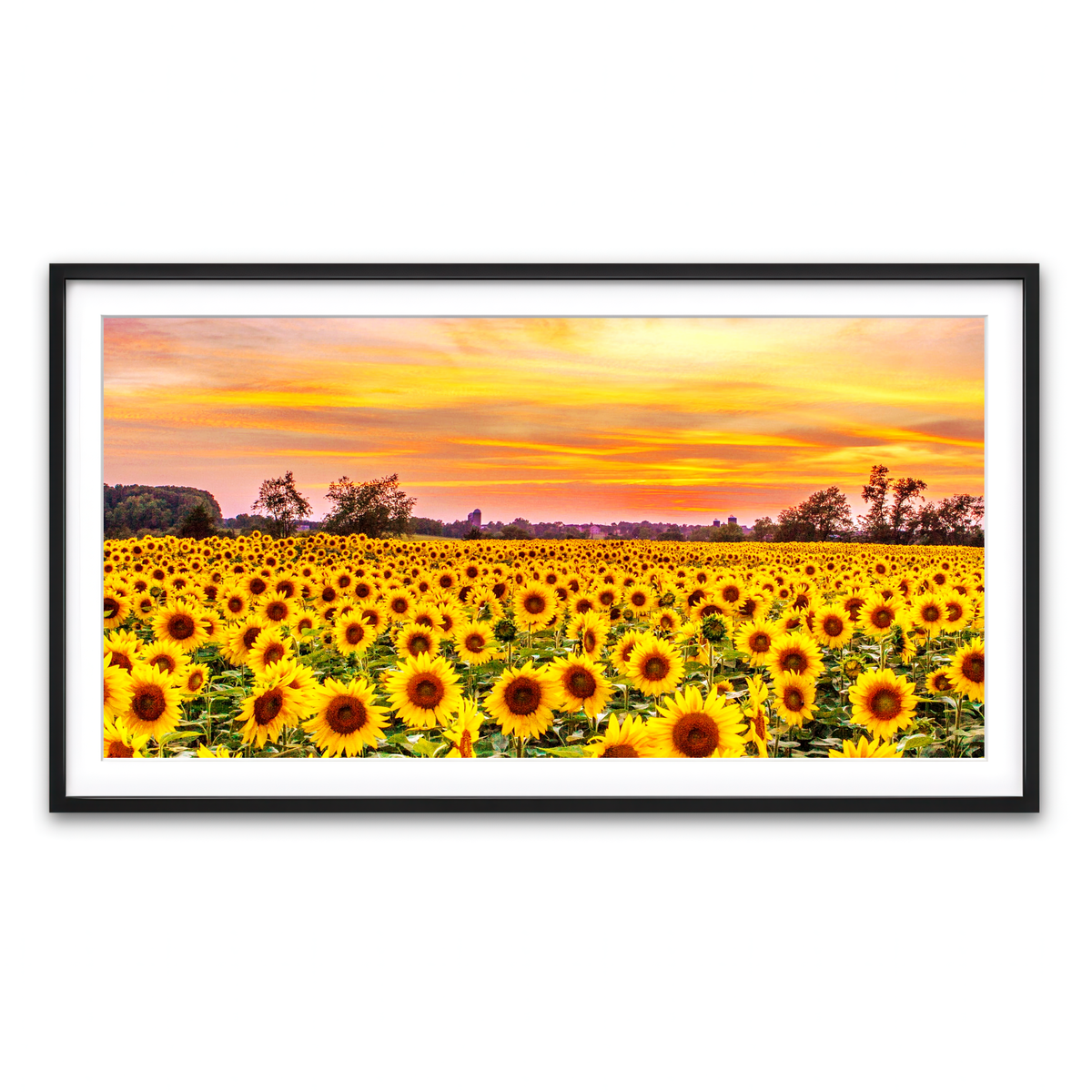 Framed Print 2x1 Black