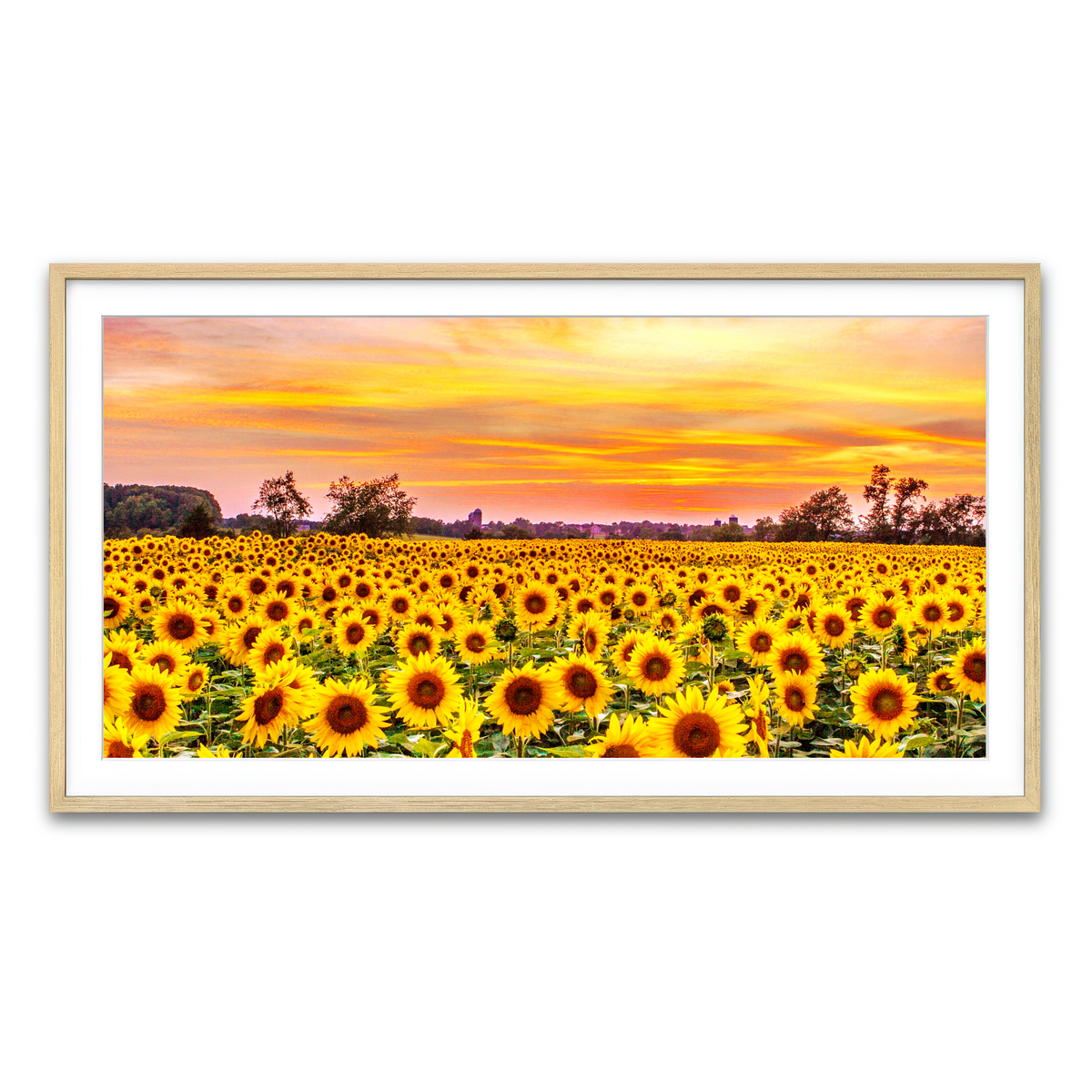 Framed Print 2x1 Natural