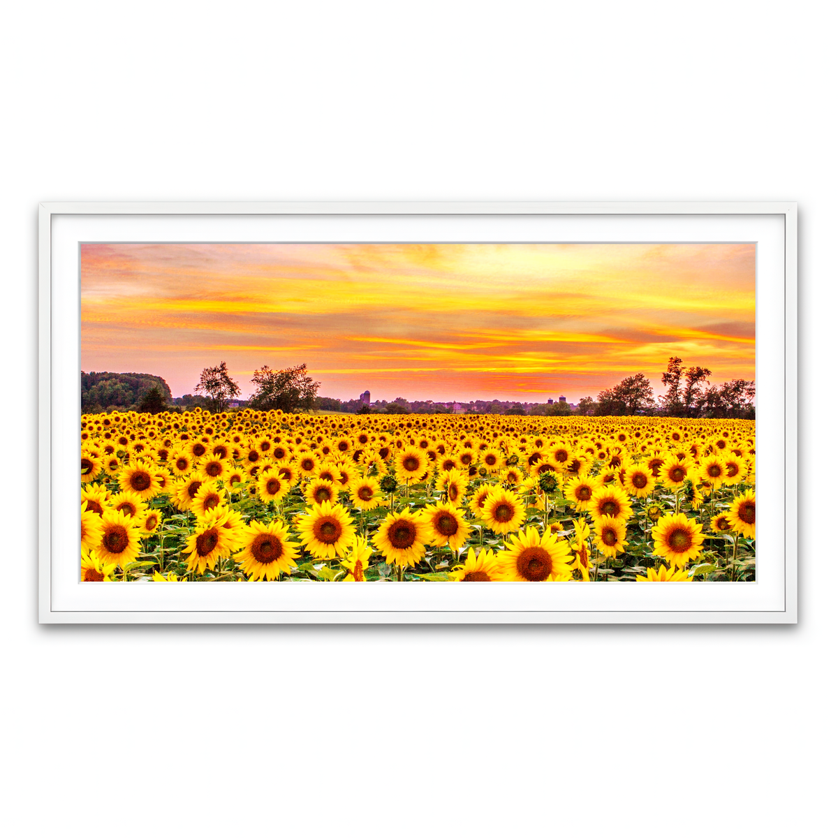 Framed Print 2x1 White