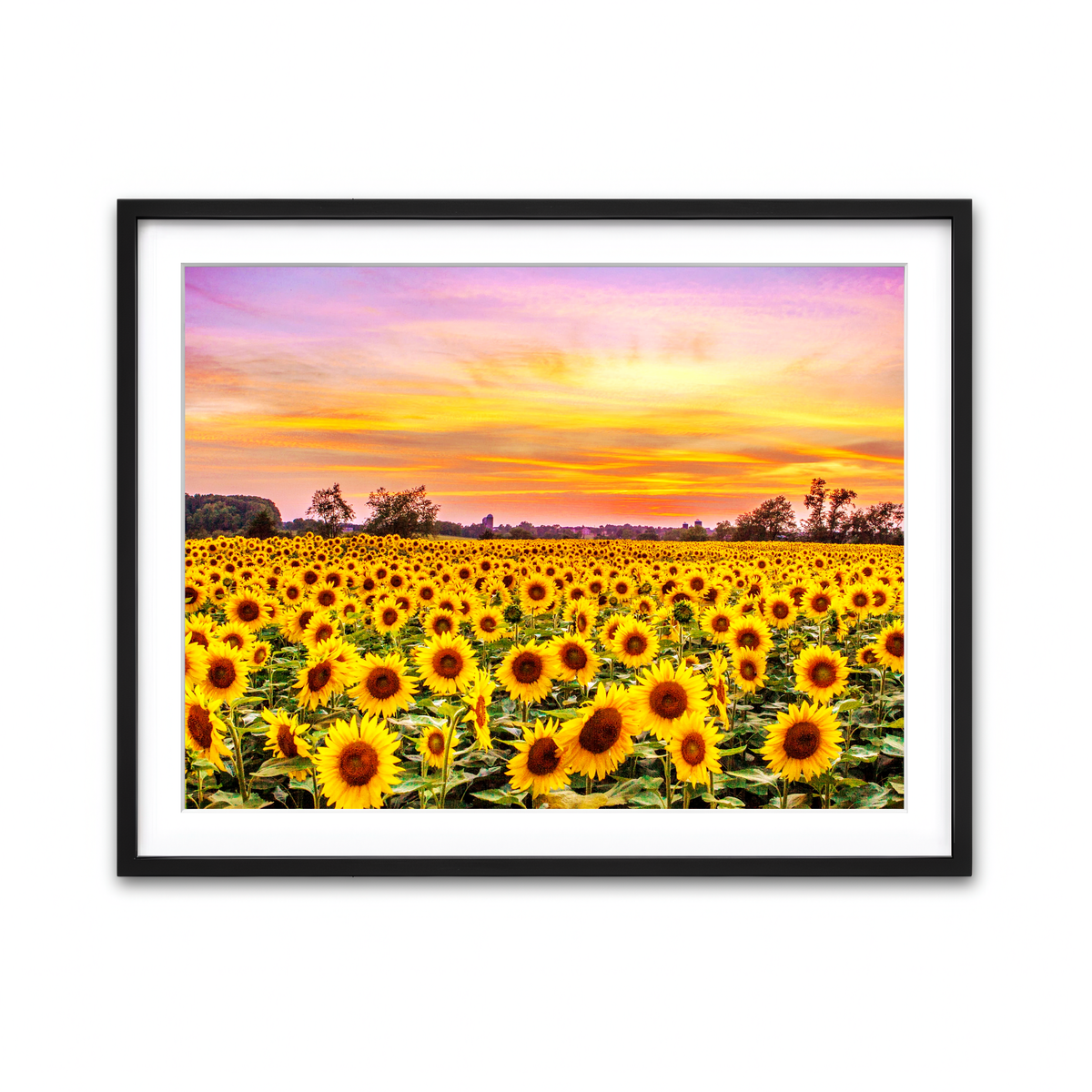 Framed Print 4x3 Black