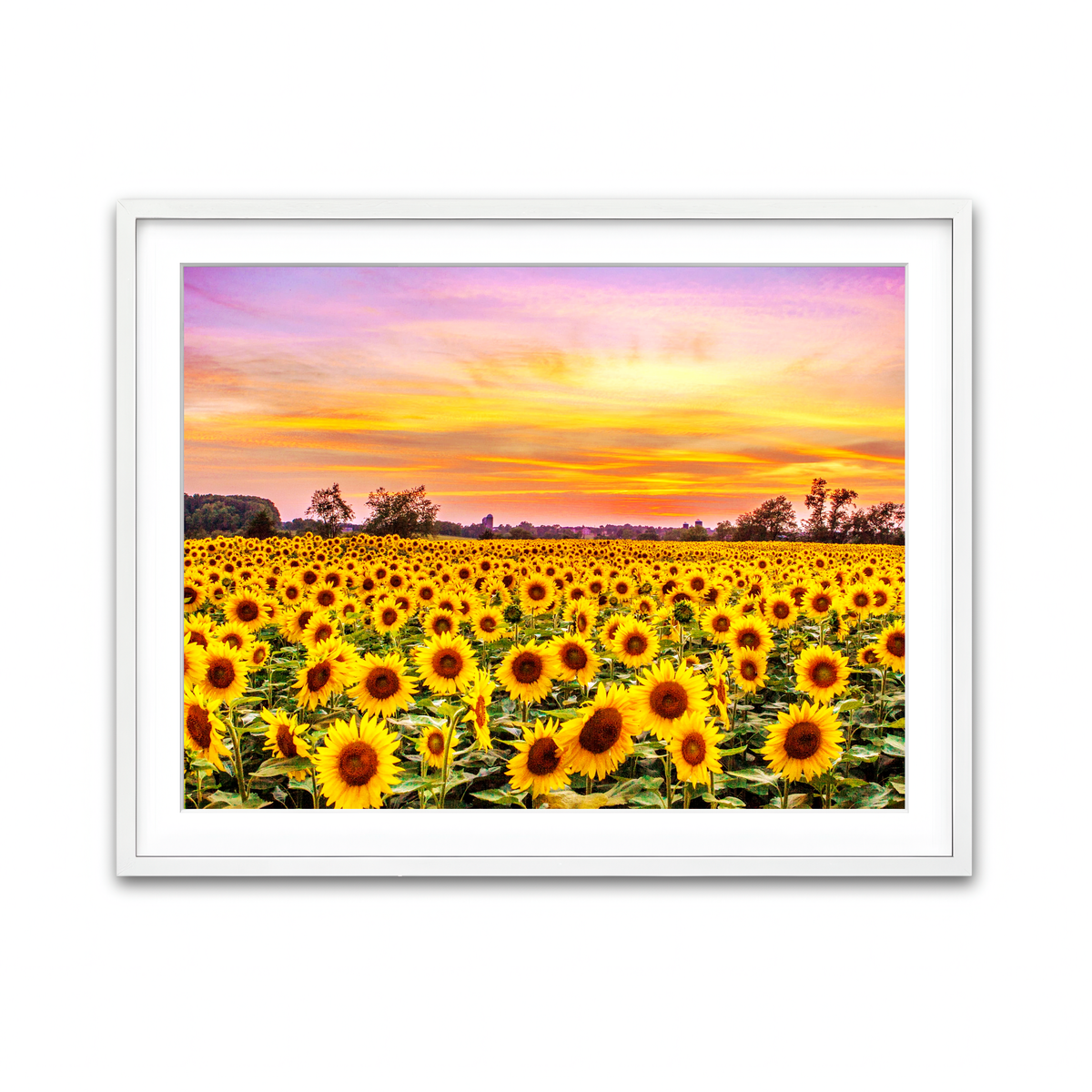 Framed Print 4x3 White