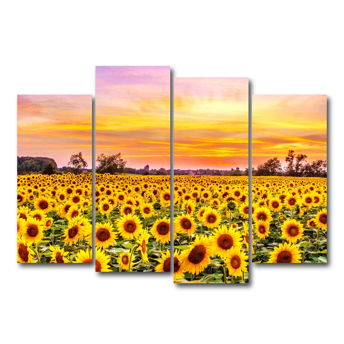 AUTO-MOCKUP WHITE | Bed of Sunflowers | 4 Piece | Gallery Wrap Canvas | group=4_normal