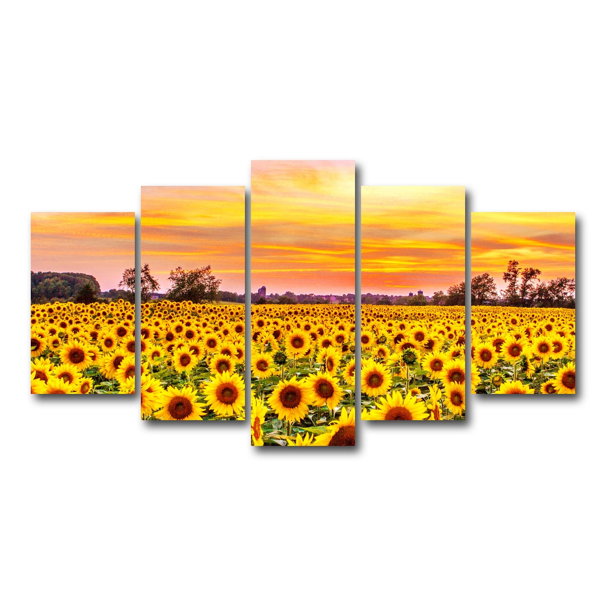 AUTO-MOCKUP WHITE | Bed of Sunflowers | 5 Piece | Gallery Wrap Canvas | group=5_normal