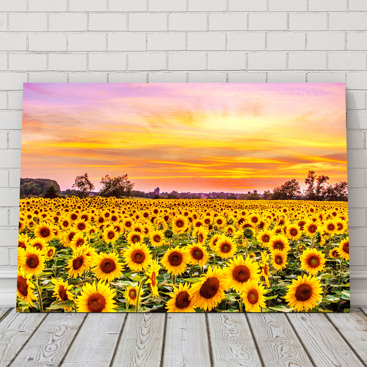 Bed of Sunflowers Wall Art