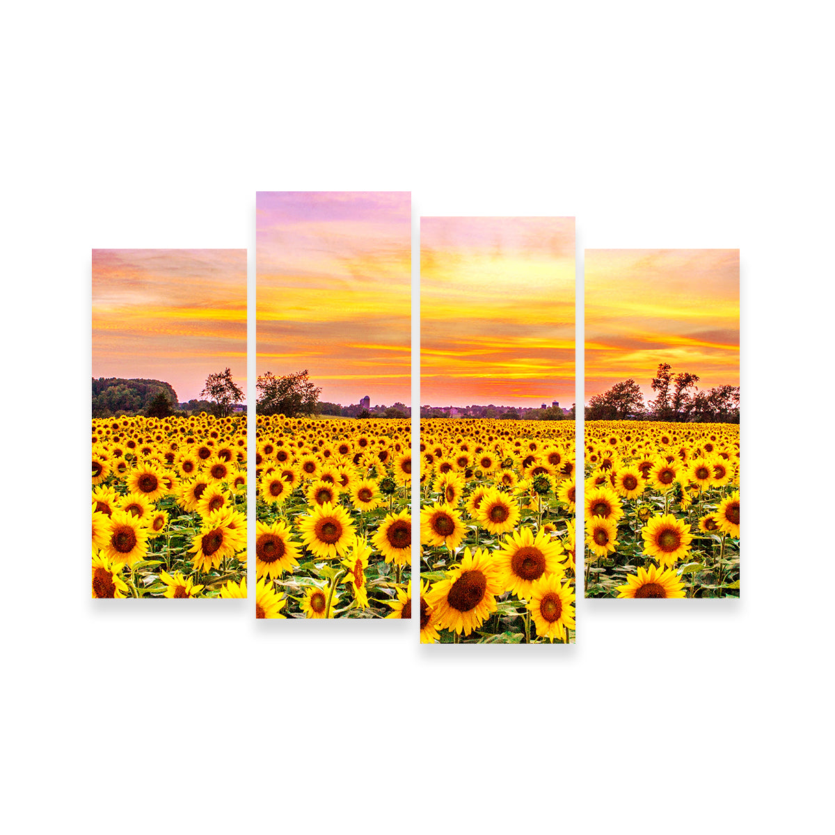 Bed of Sunflowers Wall Art