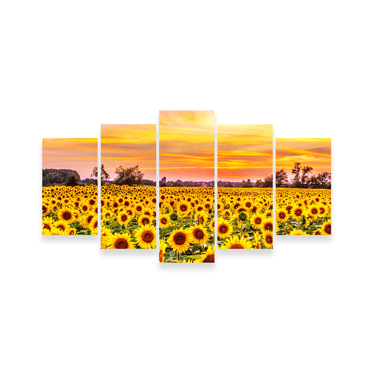 Bed of Sunflowers Wall Art