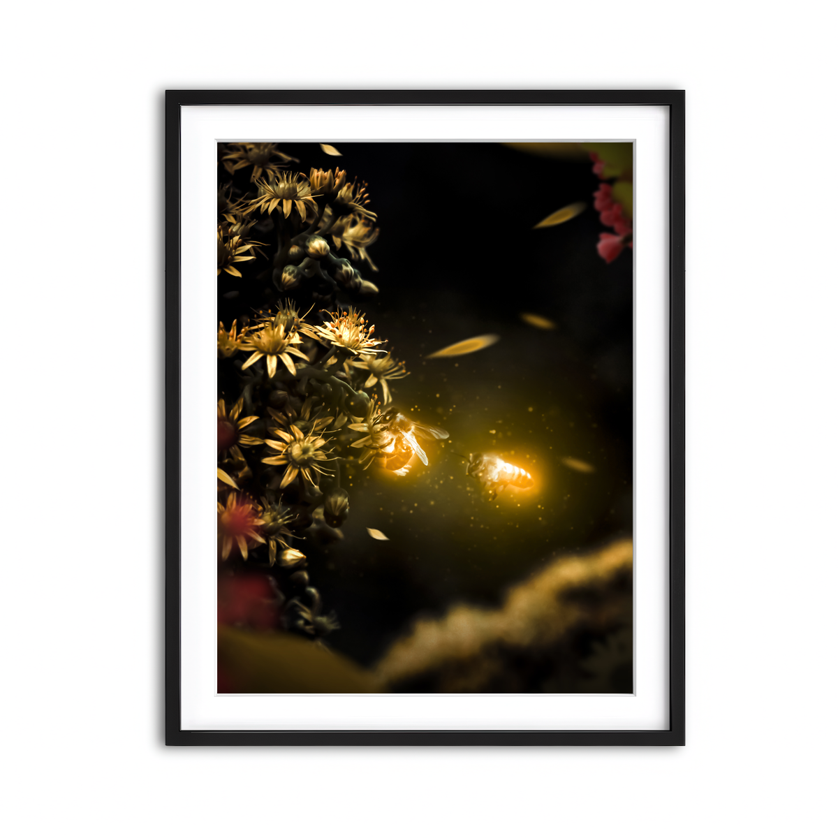 Framed Print 3x4 Black