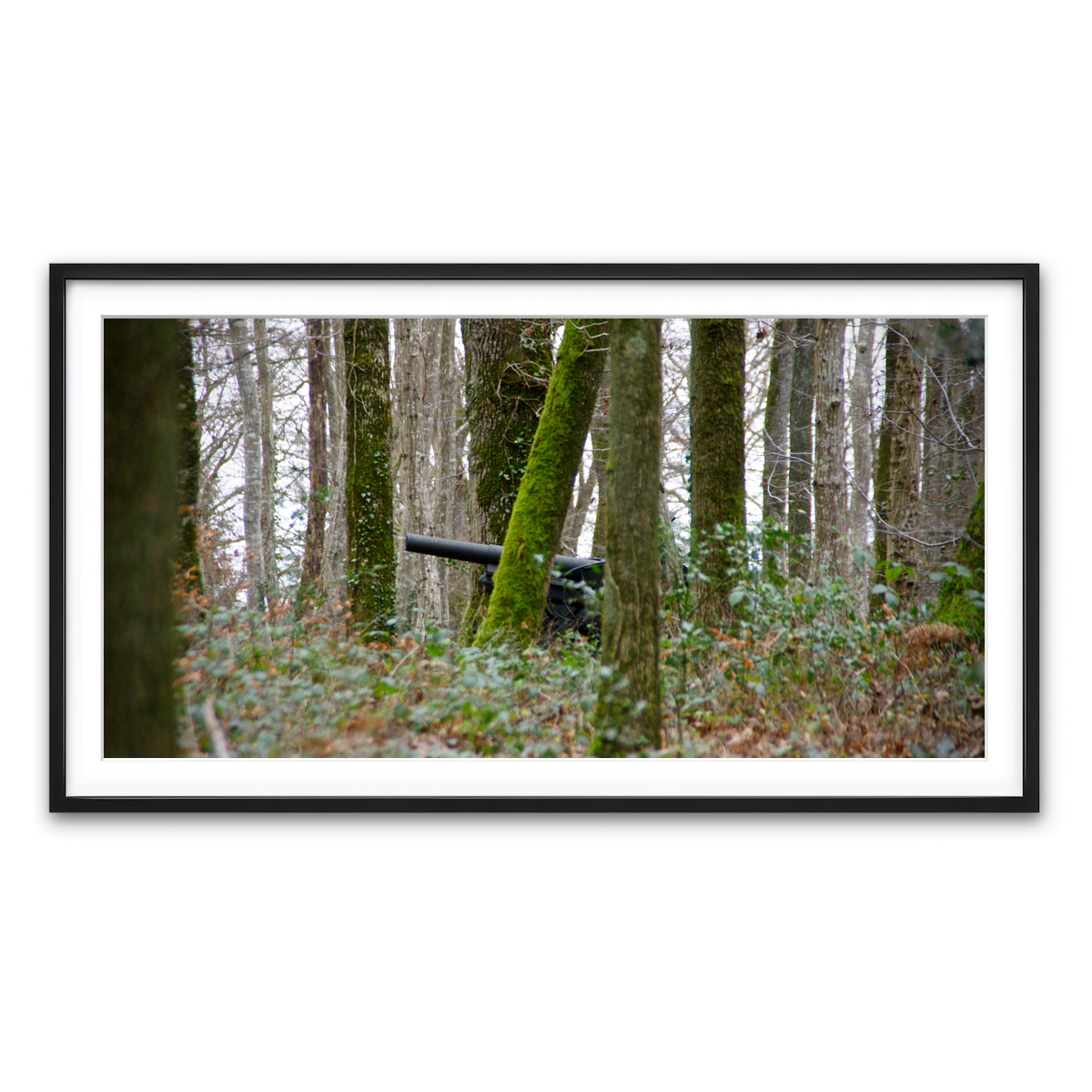 Framed Print 2x1 Black