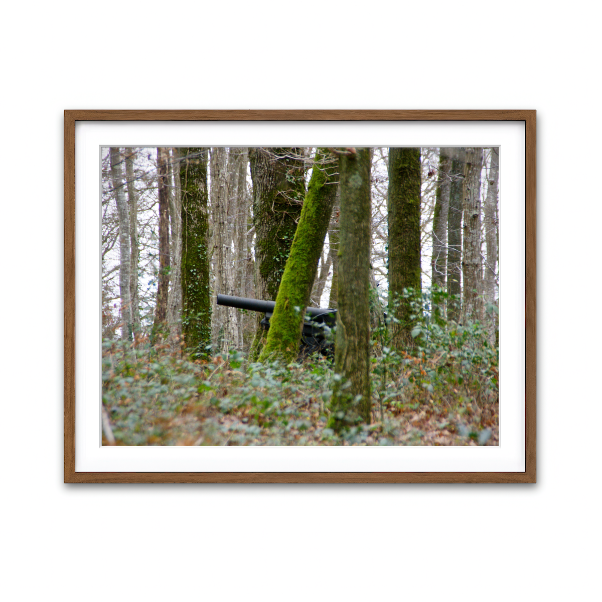 Framed Print 4x3 Walnut