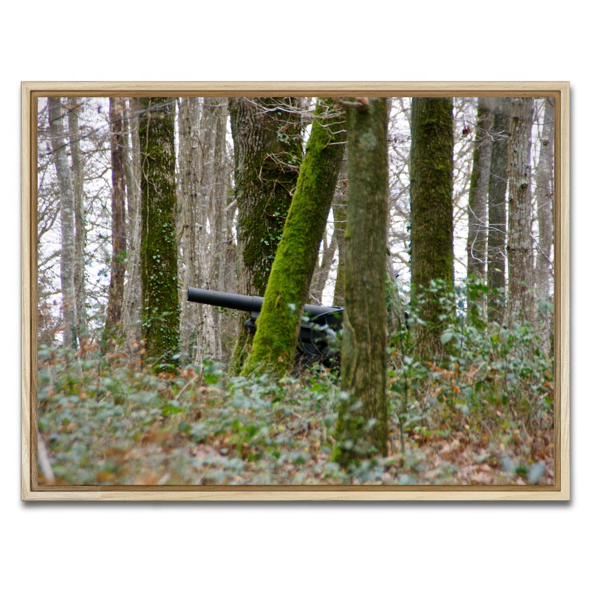 AUTO-MOCKUP WHITE | Belleau Wood | 1 Piece | Natural Framed Canvas | group=4x3