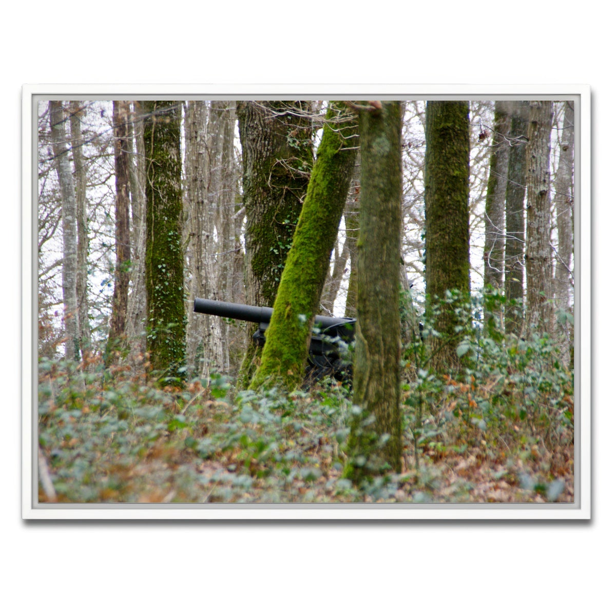 AUTO-MOCKUP WHITE | Belleau Wood | 1 Piece | White Framed Canvas | group=4x3