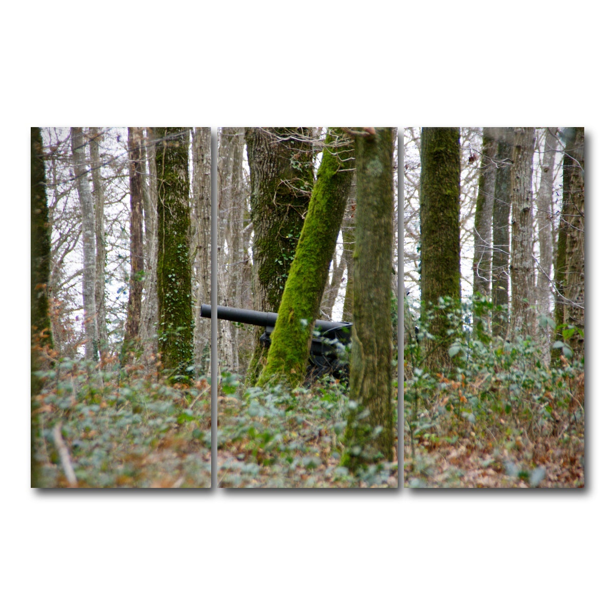 AUTO-MOCKUP WHITE | Belleau Wood | 3 Piece | Gallery Wrap Canvas | group=12x24