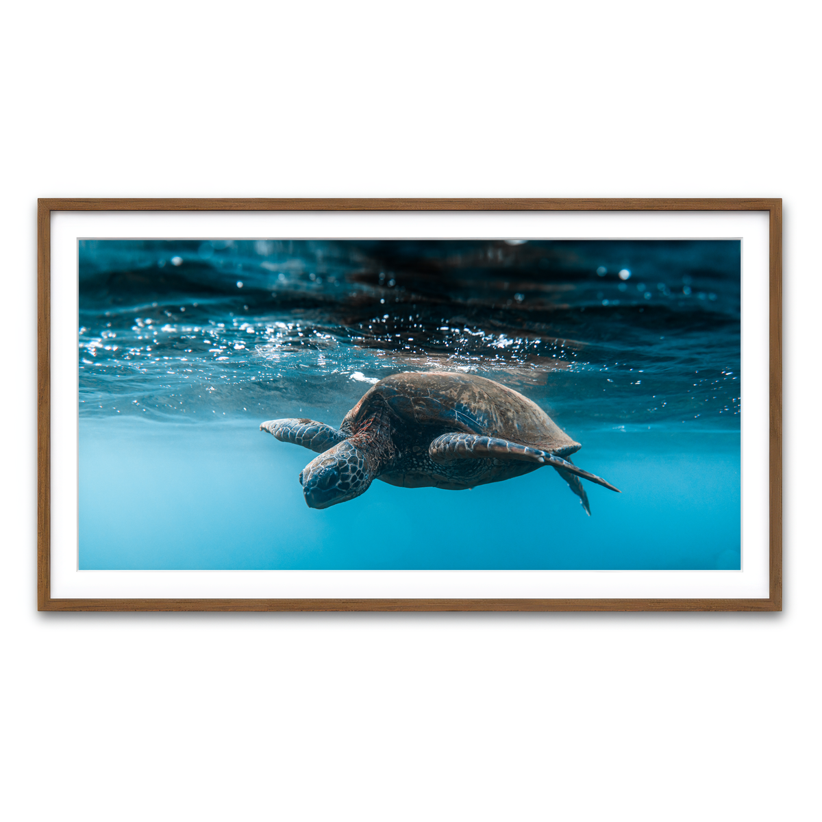 Framed Print 2x1 Walnut