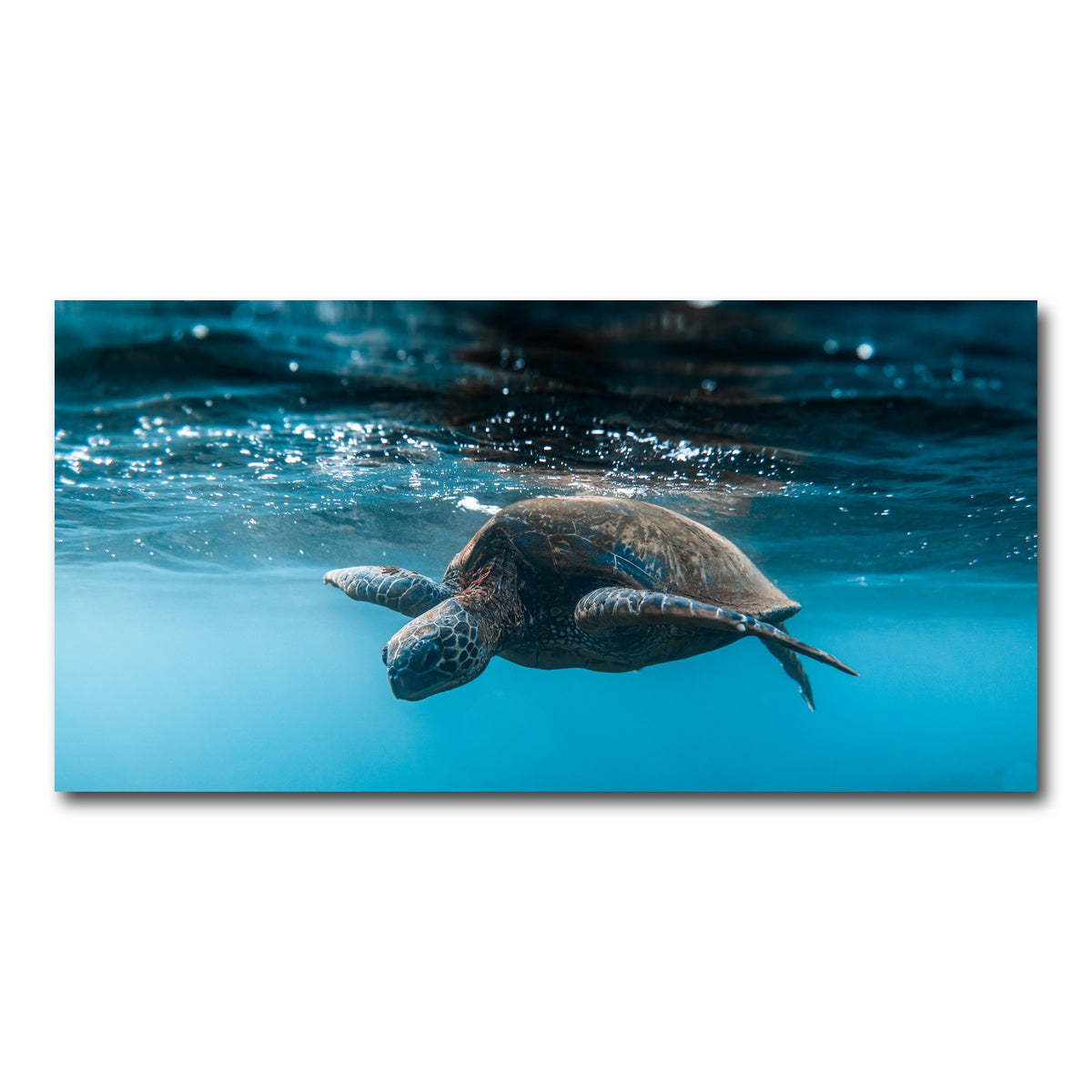 AUTO-MOCKUP WHITE | Below the Surface | 1 Piece | Gallery Wrap Canvas | group=2x1