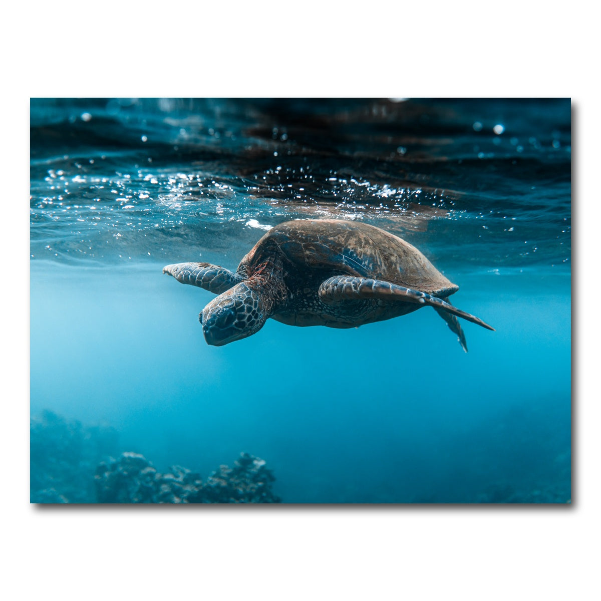 AUTO-MOCKUP WHITE | Below the Surface | 1 Piece | Gallery Wrap Canvas | group=4x3