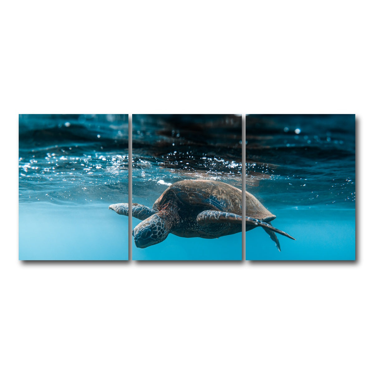 AUTO-MOCKUP WHITE | Below the Surface | 3 Piece | Gallery Wrap Canvas | group=18x24
