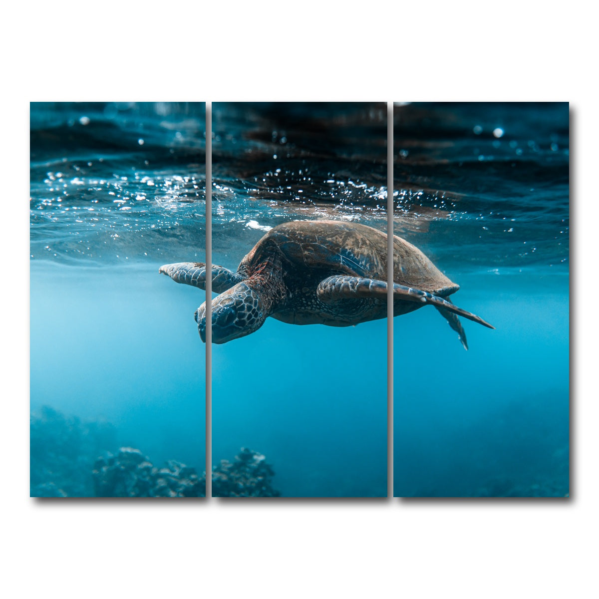 AUTO-MOCKUP WHITE | Below the Surface | 3 Piece | Gallery Wrap Canvas | group=8x18