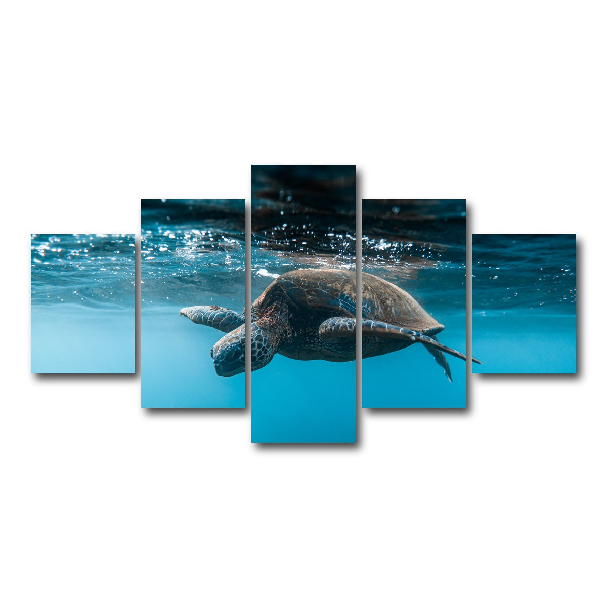 AUTO-MOCKUP WHITE | Below the Surface | 5 Piece | Gallery Wrap Canvas | group=5_short