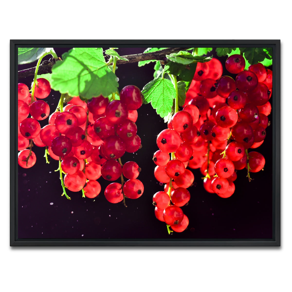 AUTO-MOCKUP WHITE | Berrys | 1 Piece | Black Framed Canvas | group=4x3