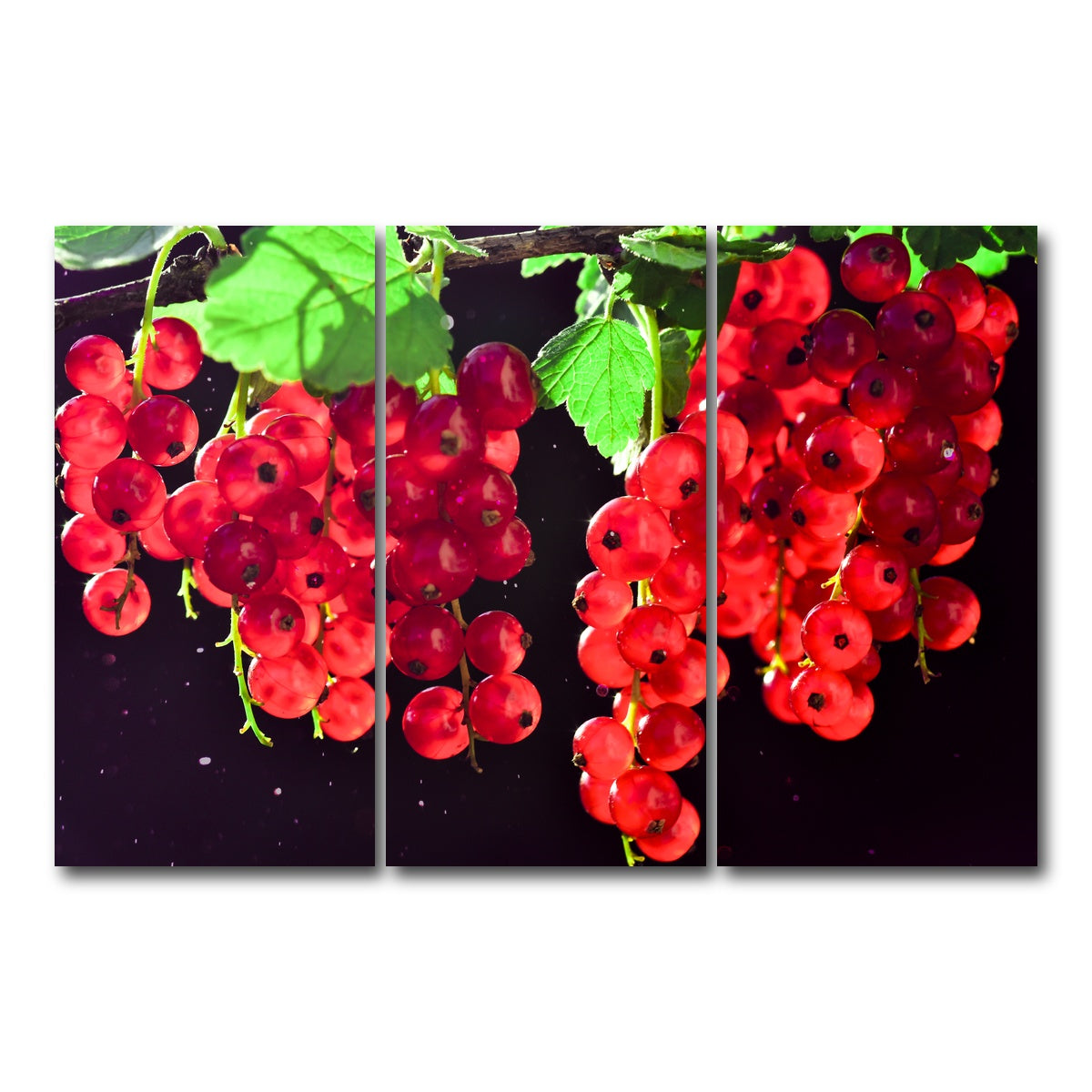 AUTO-MOCKUP WHITE | Berrys | 3 Piece | Gallery Wrap Canvas | group=12x24