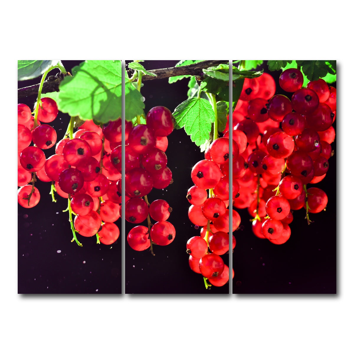 AUTO-MOCKUP WHITE | Berrys | 3 Piece | Gallery Wrap Canvas | group=8x18