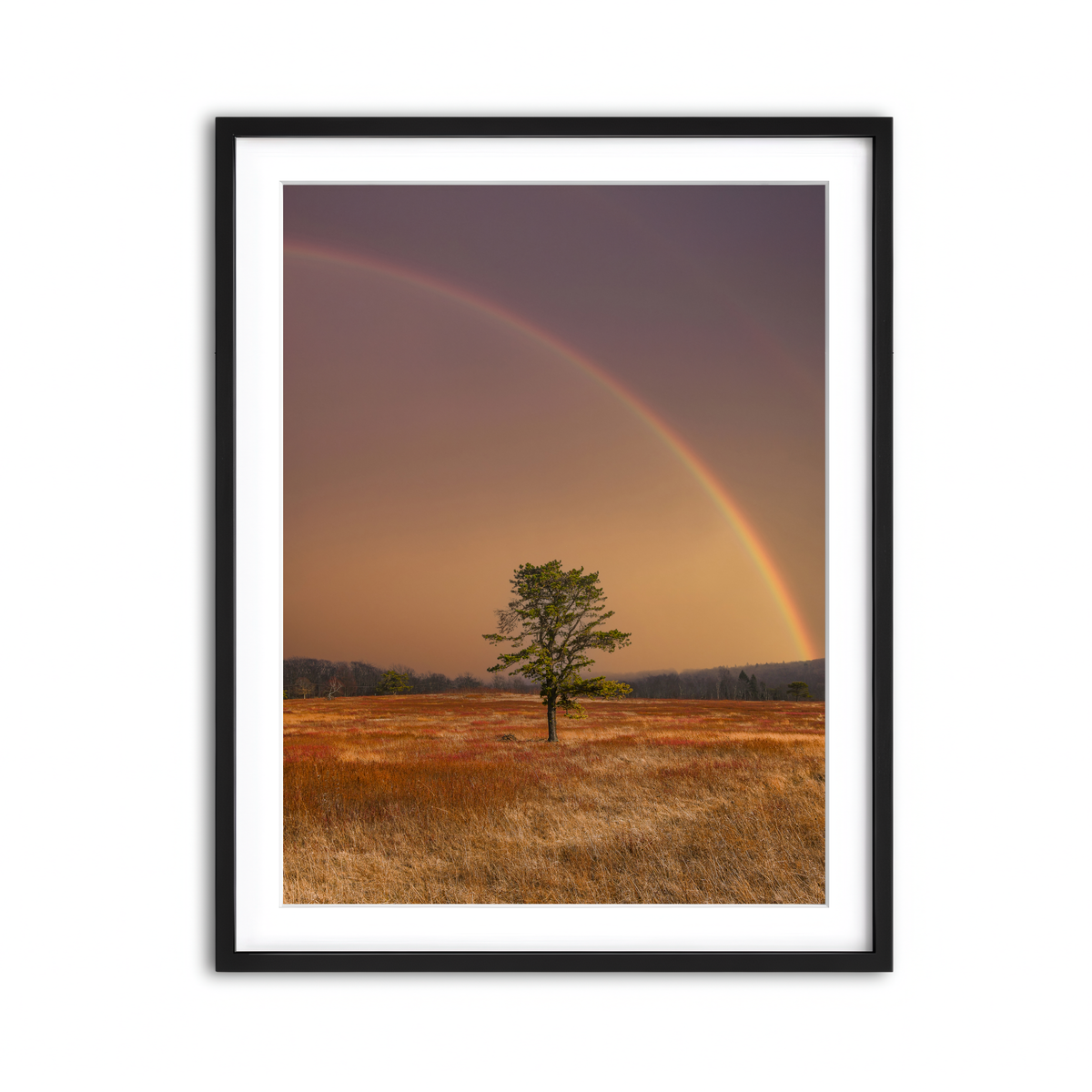 Framed Print 3x4 Black