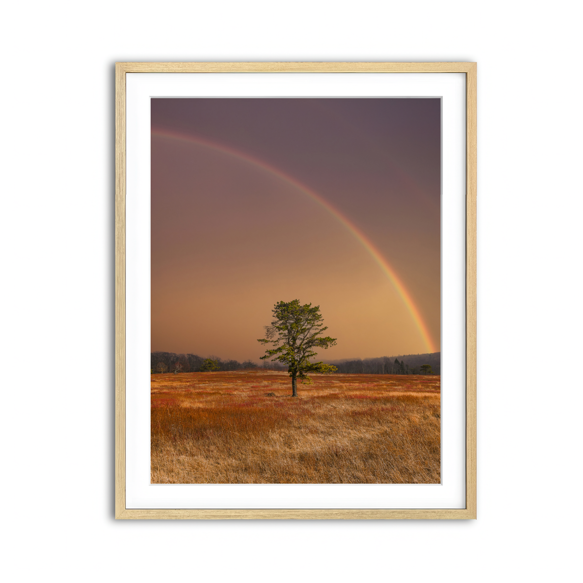 Framed Print 3x4 Natural
