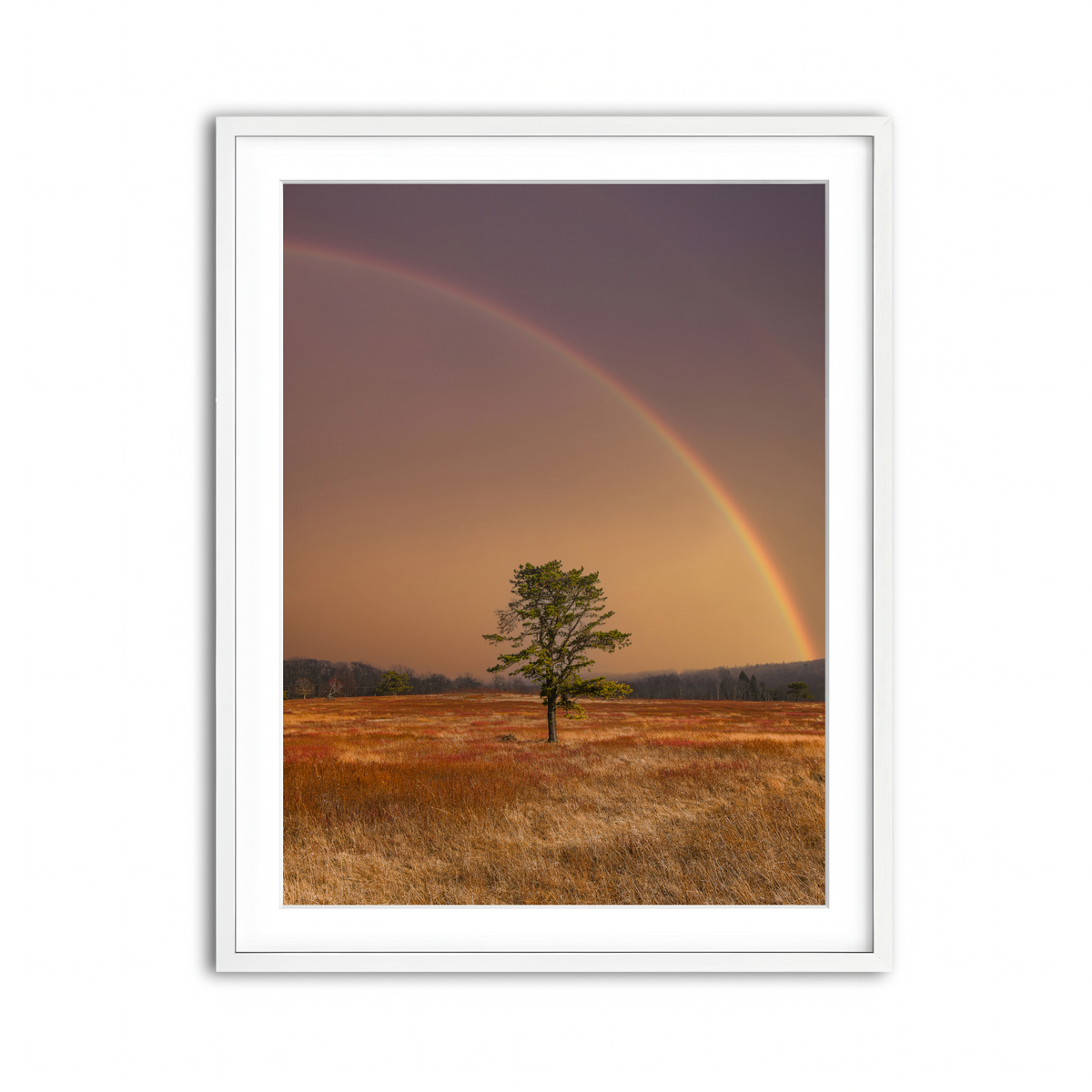 Framed Print 3x4 White