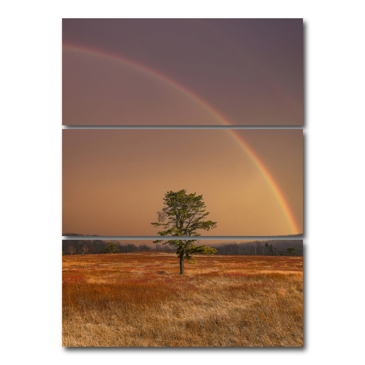 AUTO-MOCKUP WHITE | Big Meadows | 3 Piece | Gallery Wrap Canvas | group=8x18_stacked