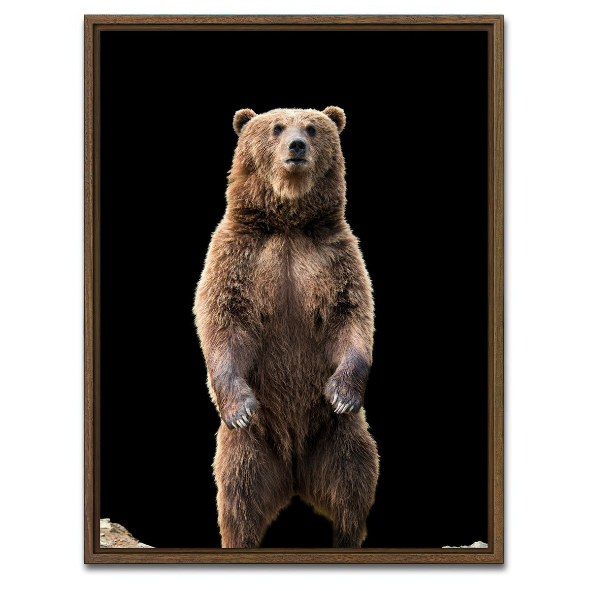 AUTO-MOCKUP WHITE | Big brown bear standing | 1 Piece | Walnut Framed Canvas | group=3x4