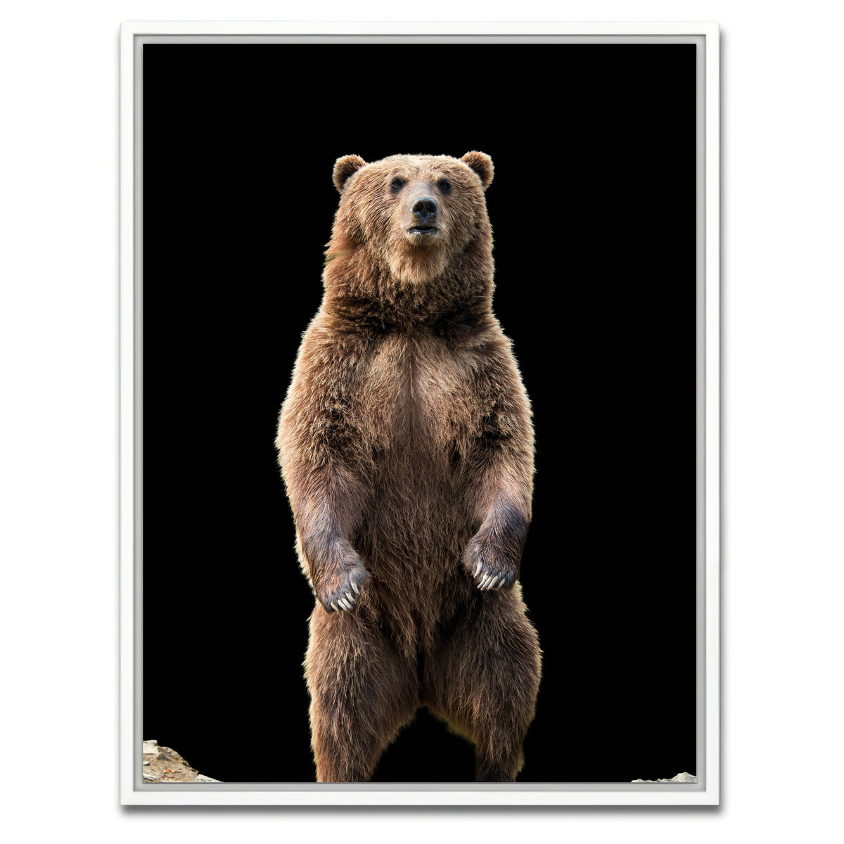 AUTO-MOCKUP WHITE | Big brown bear standing | 1 Piece | White Framed Canvas | group=3x4