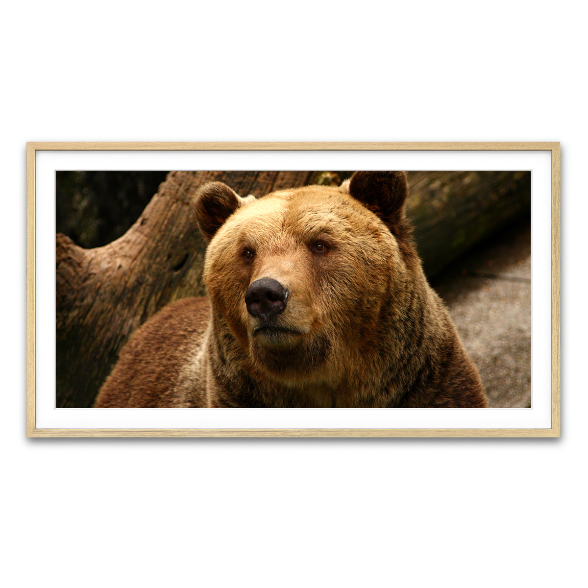 Framed Print 2x1 Natural