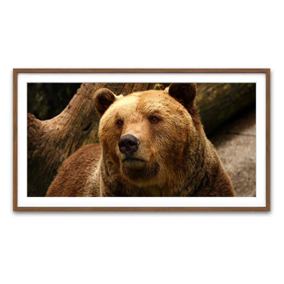 Framed Print 2x1 Walnut