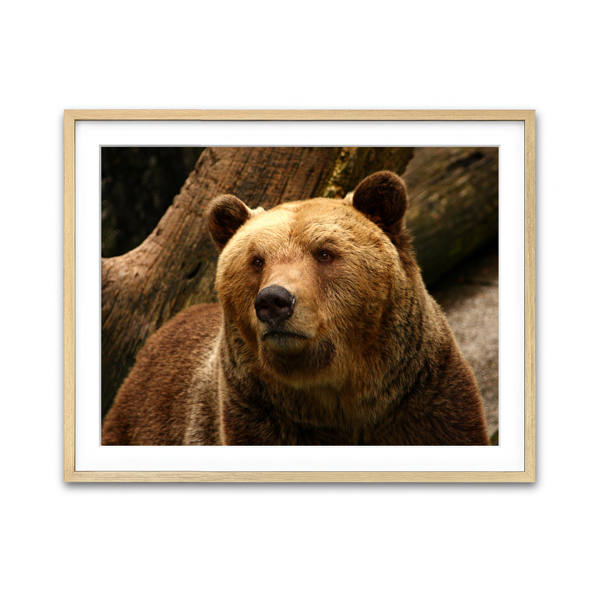 Framed Print 4x3 Natural