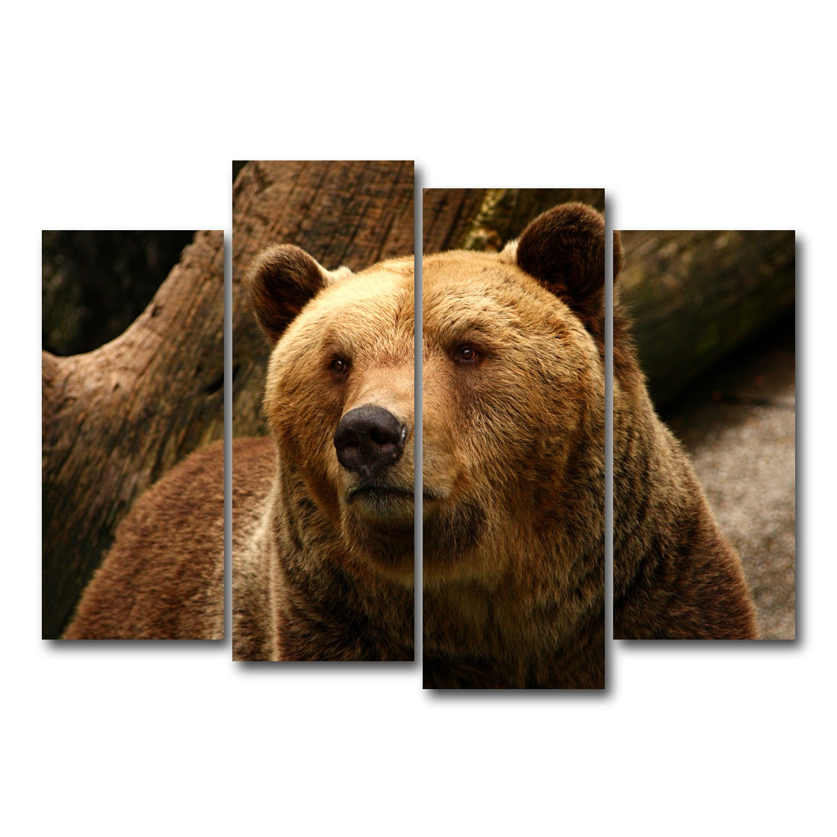 AUTO-MOCKUP WHITE | Big grizzly | 4 Piece | Gallery Wrap Canvas | group=4_normal