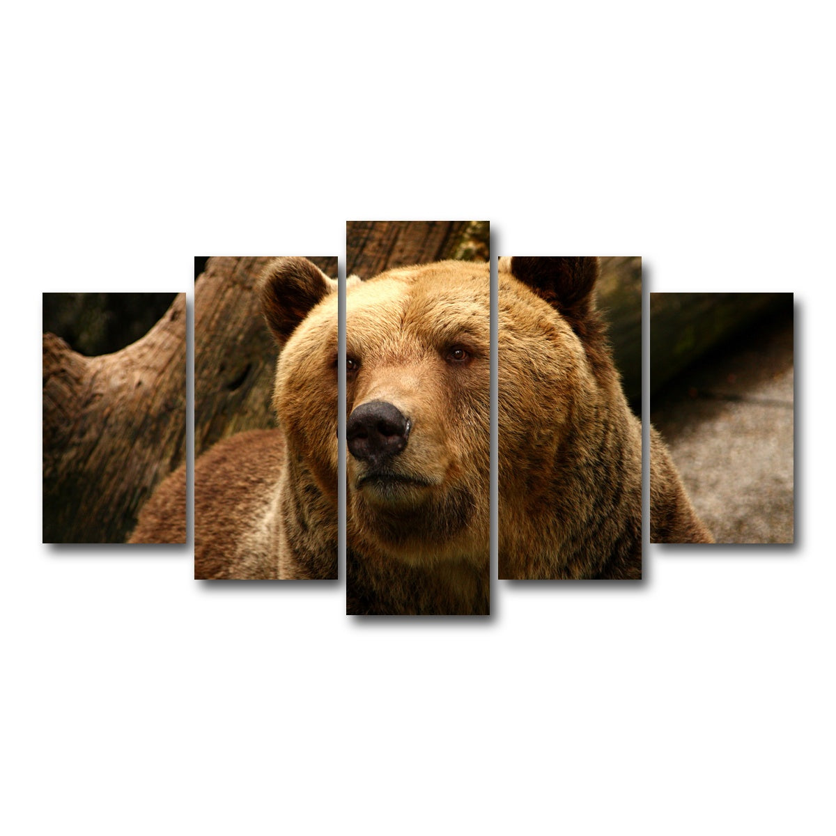 AUTO-MOCKUP WHITE | Big grizzly | 5 Piece | Gallery Wrap Canvas | group=5_normal