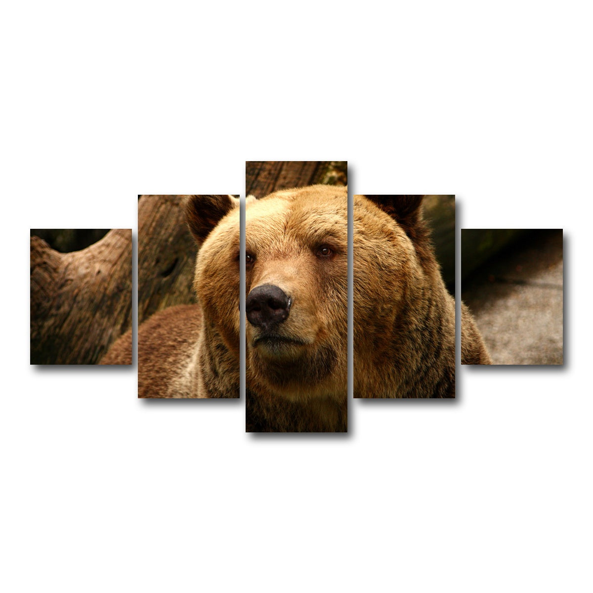AUTO-MOCKUP WHITE | Big grizzly | 5 Piece | Gallery Wrap Canvas | group=5_short