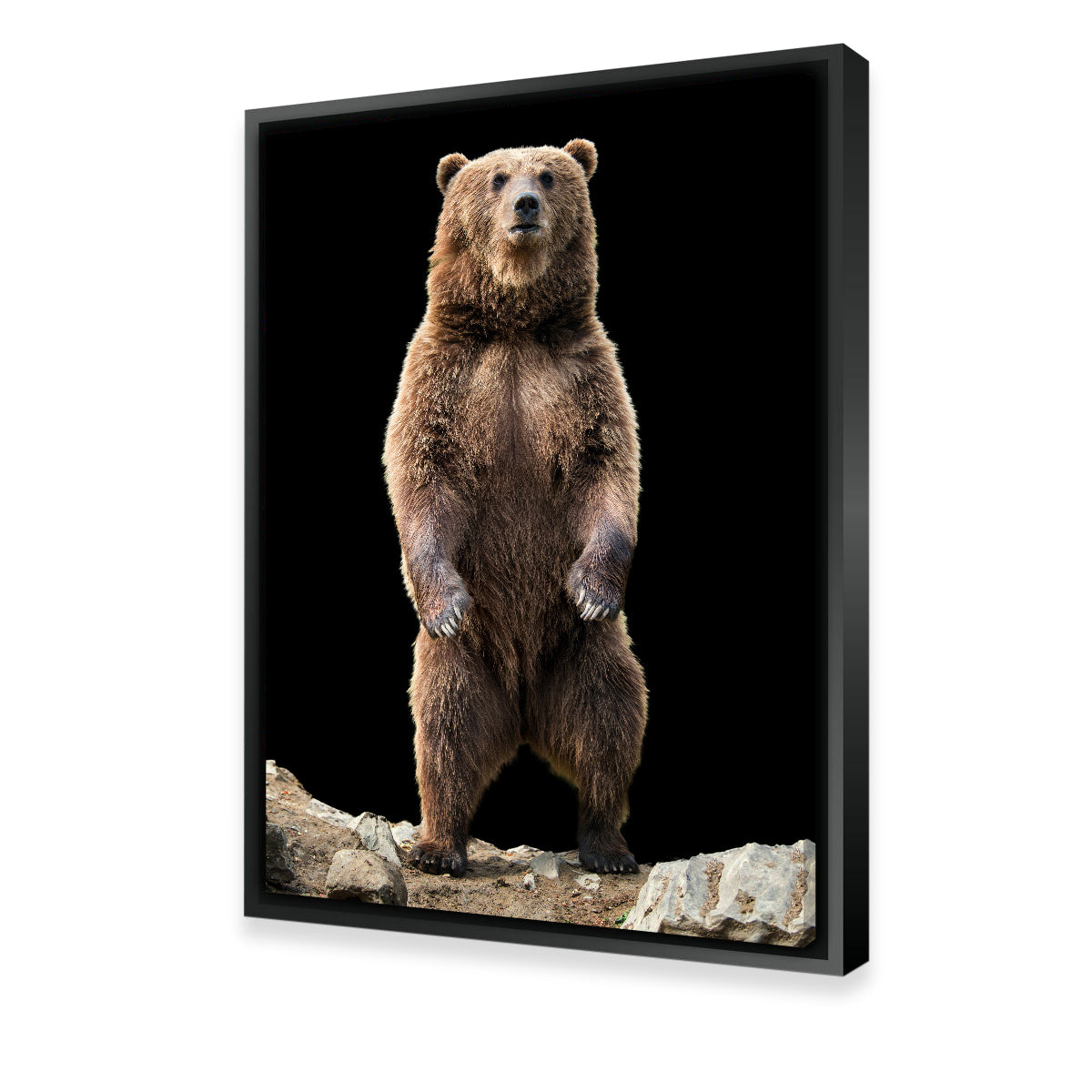 Big Brown Bear Standing Wall Art