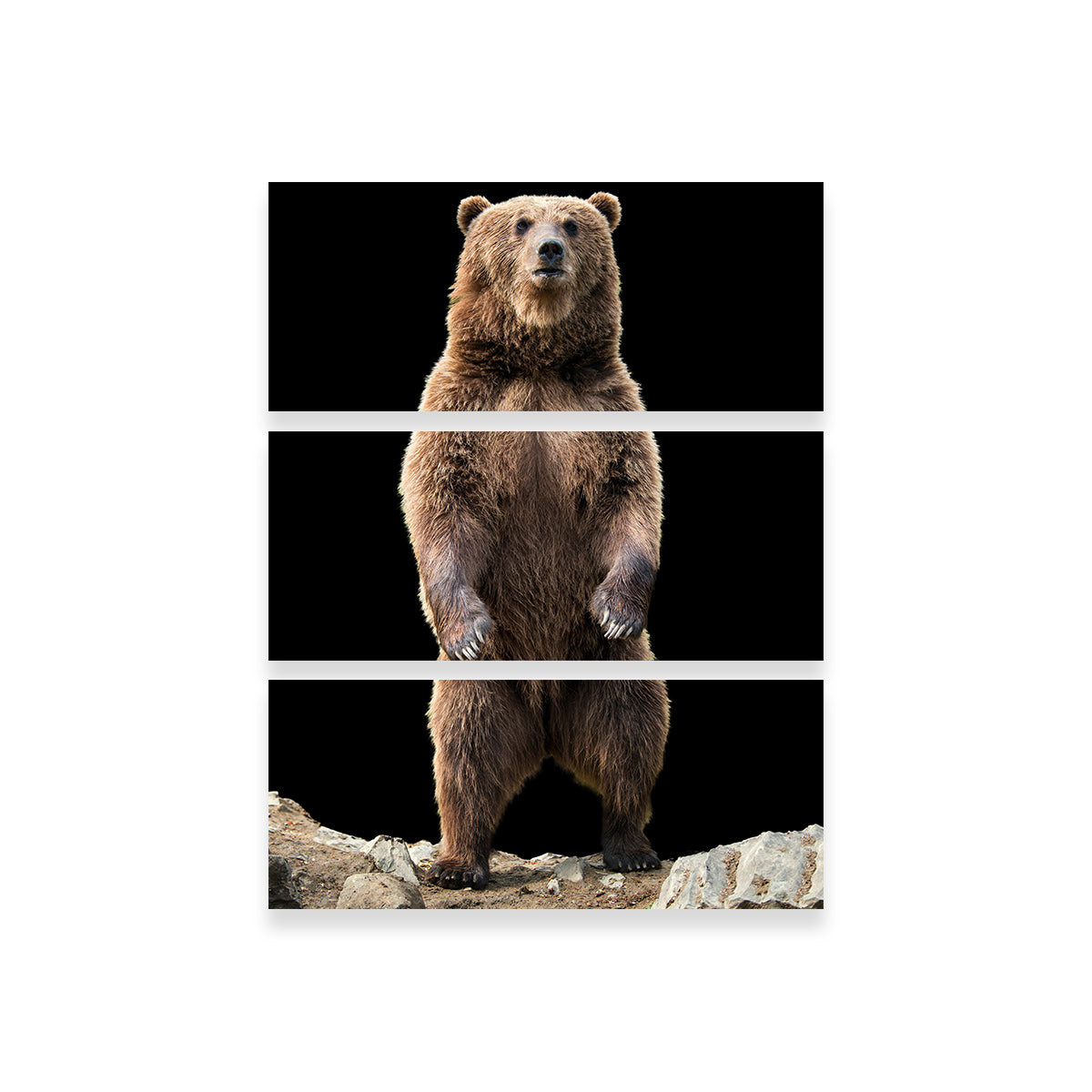 Big Brown Bear Standing Wall Art
