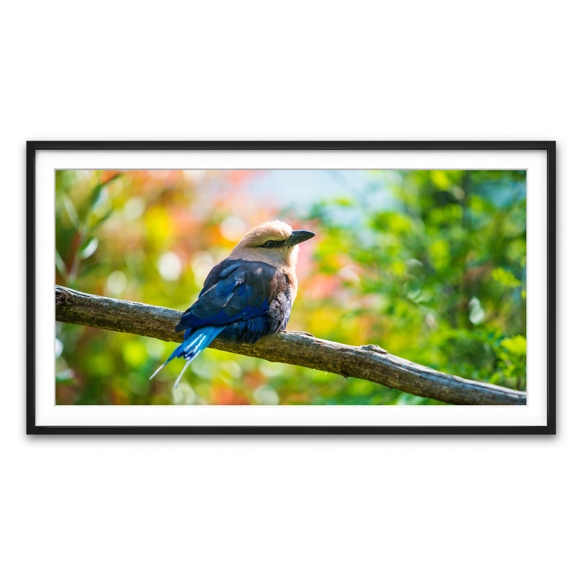 Framed Print 2x1 Black