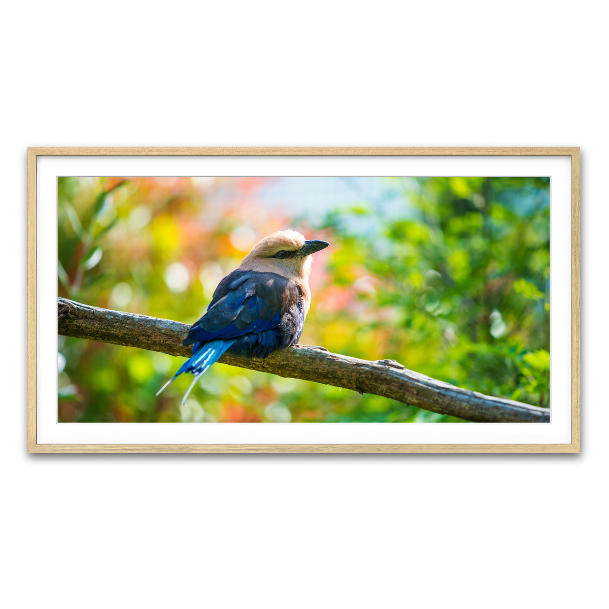 Framed Print 2x1 Natural