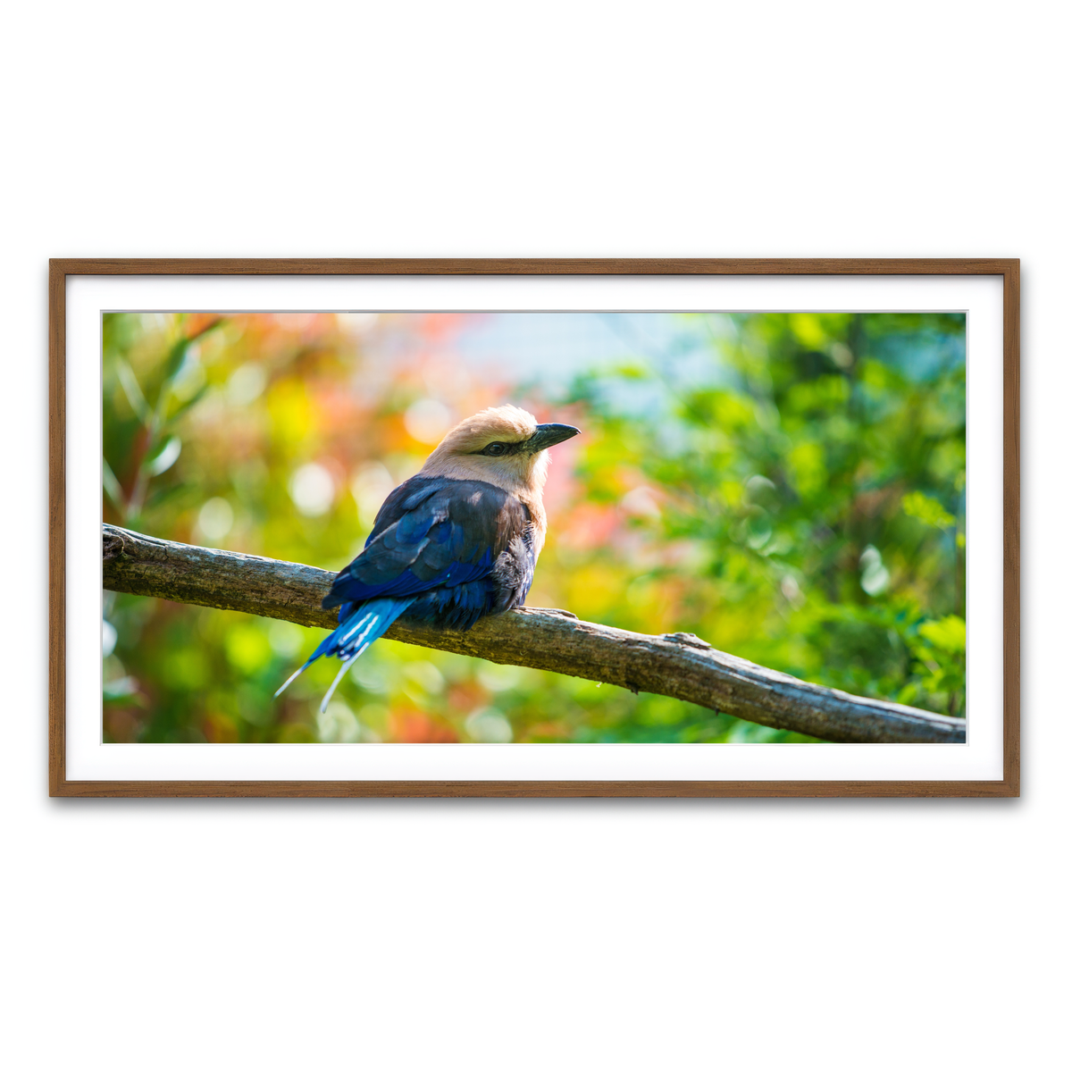 Framed Print 2x1 Walnut